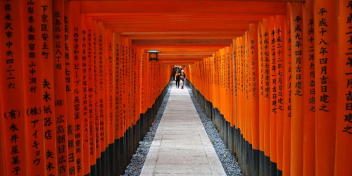 image of the Senbon Torii (thousands of torii gates) at the Fushimi Inari Taisha shrine in Kyoto, Japan.
